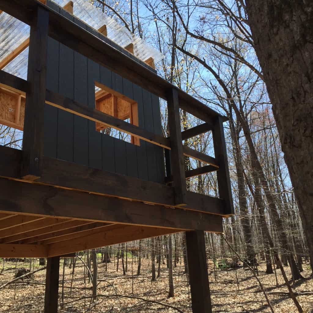 ORC: Staining the Treehouse Wood