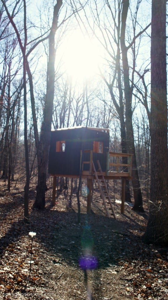 treehouse in woods