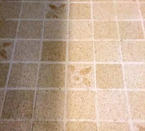 Is your floor ugly? A stenciled floor is the perfect solution! You can paint that tired vinyl floor with the right precautions! #stenciledfloor #stenciled #paintedfloors #paintedvinyl