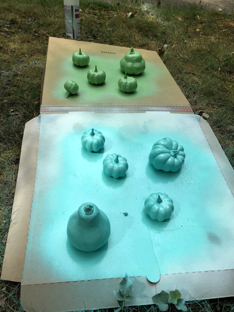 spraying pumpkins