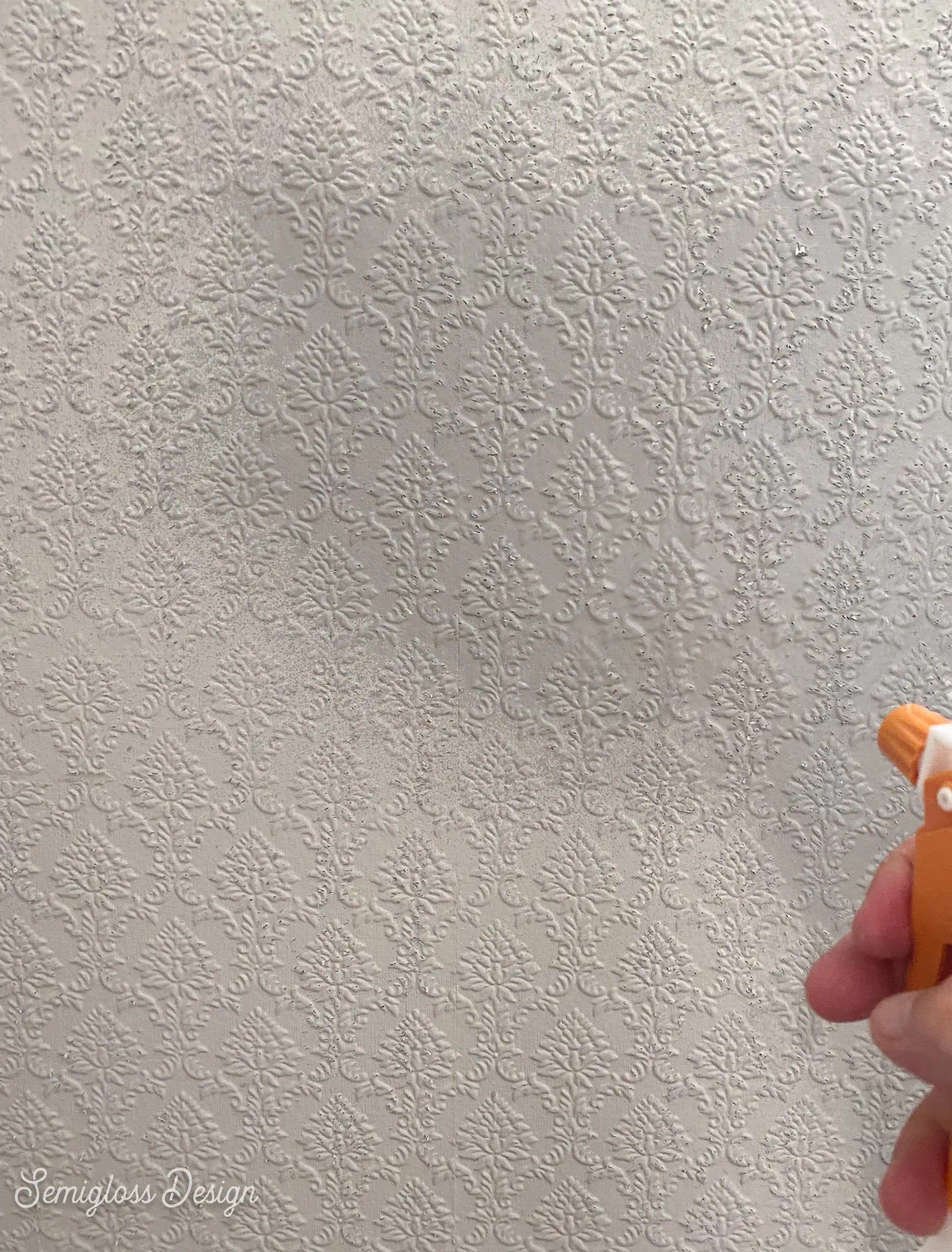 spraying wallpaper for removal