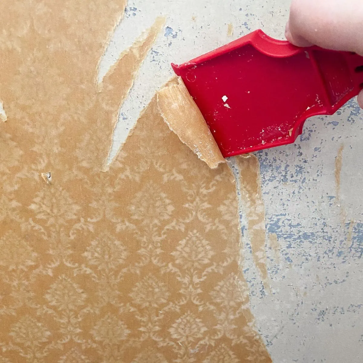 red plastic scraper removing wallpaper from plaster wall