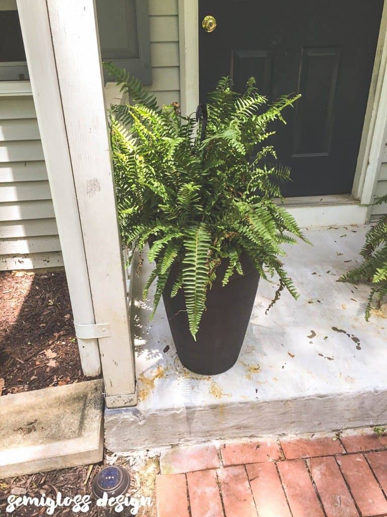 Tall planter on porch