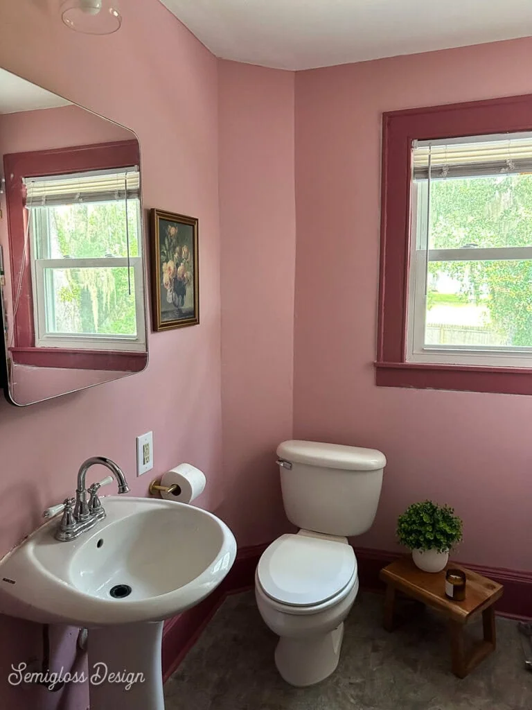 pink bathroom