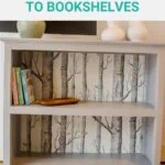 bookcase with tree wallpaper