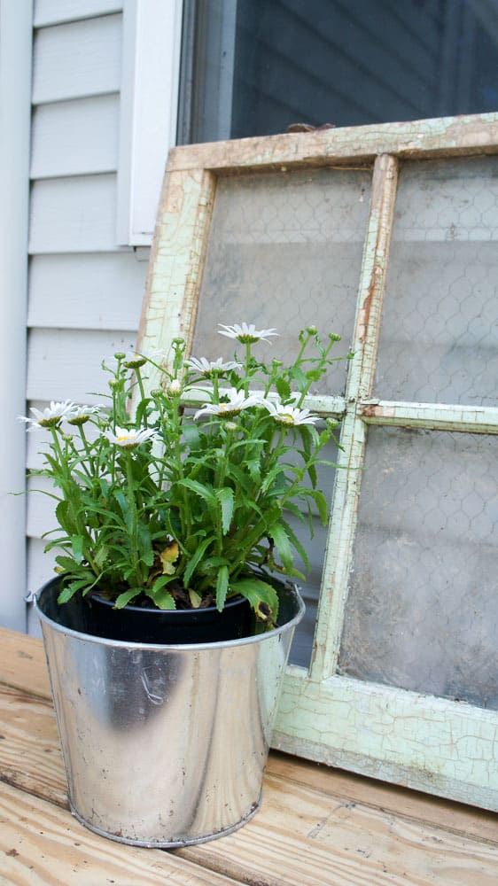 Looking for simple ways to add color to your patio decor? Here are some easy ways to add color to your outdoor decor, while still letting nature shine. 