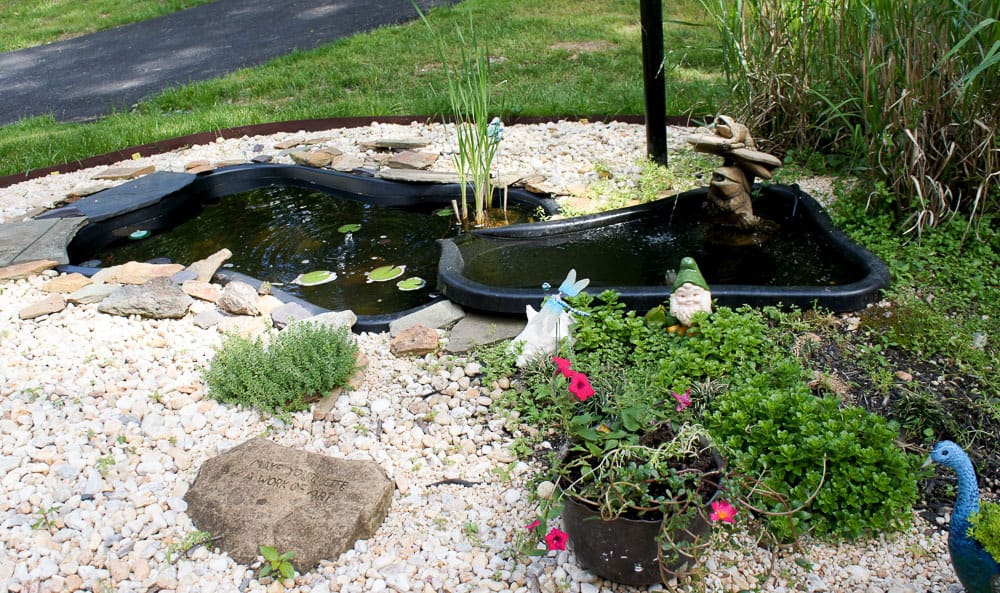 Looking for simple ways to add color to your patio decor? Here are some easy ways to add color to your outdoor decor, while still letting nature shine. 