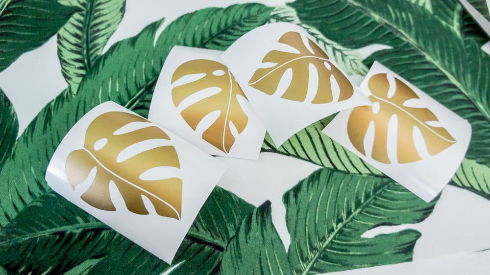 Make an easy summer vase to fill with all of your favorite summer blooms or foliage! This DIY vase features gold monstera leaves for a fun, tropical feel!