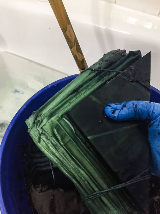 indigo dye is green as it oxidizes