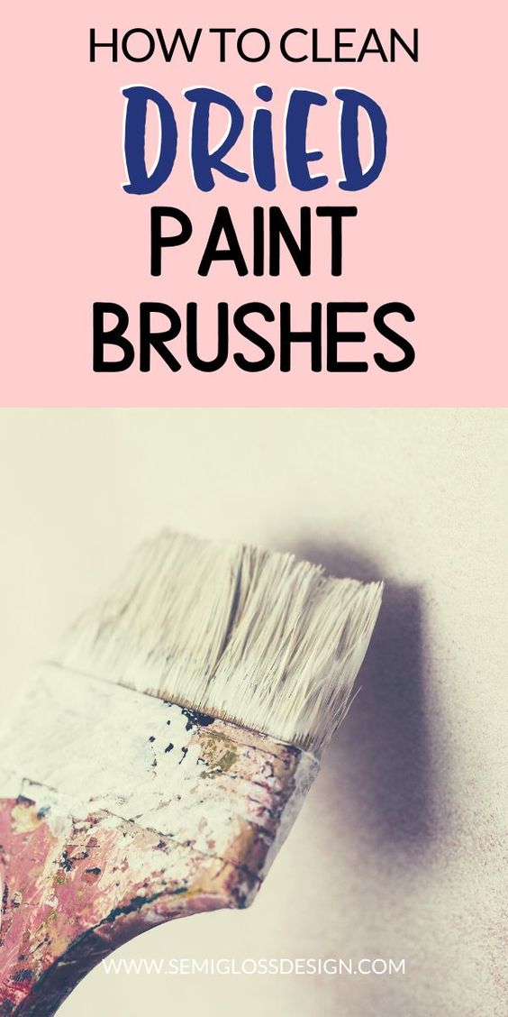 How to Clean Dried Paintbrushes Semigloss Design
