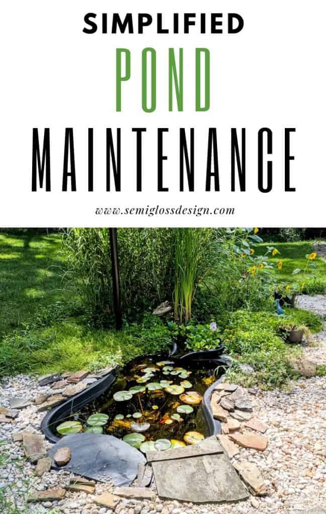 easy tips for pond maintenance