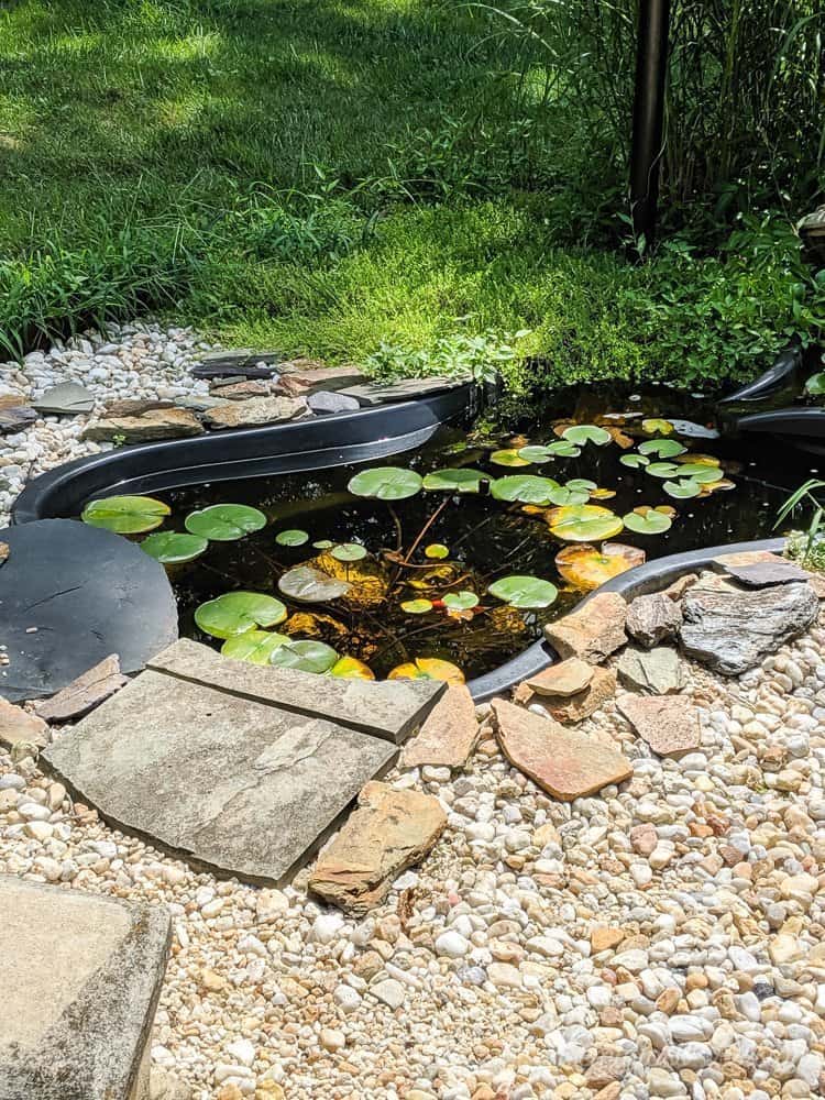pond surrounded by pebbles