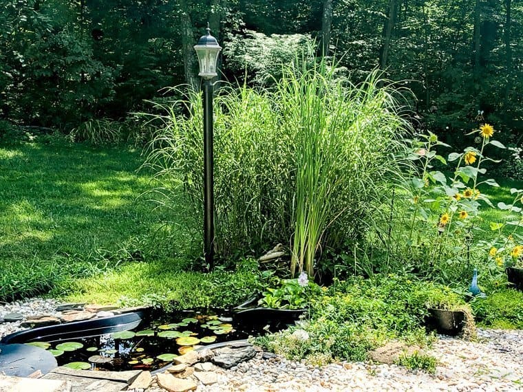 pond maintenance tips without chemicals