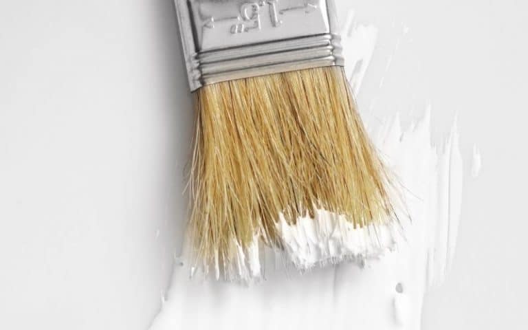 paint primer on brush