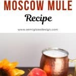 fall cocktail: apple moscow mule in copper mug