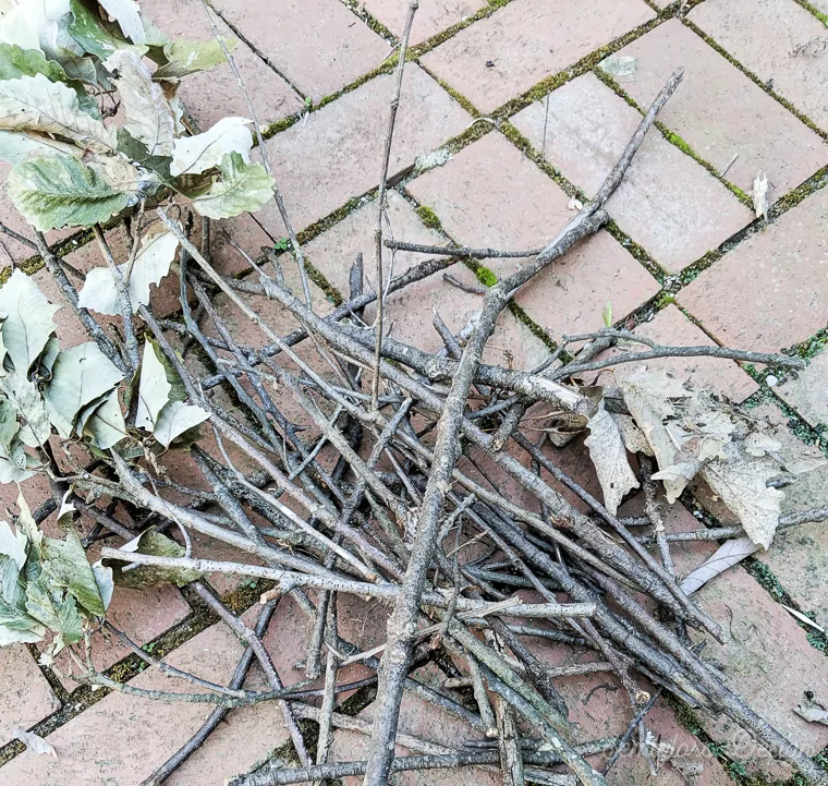 twigs for twig wreath