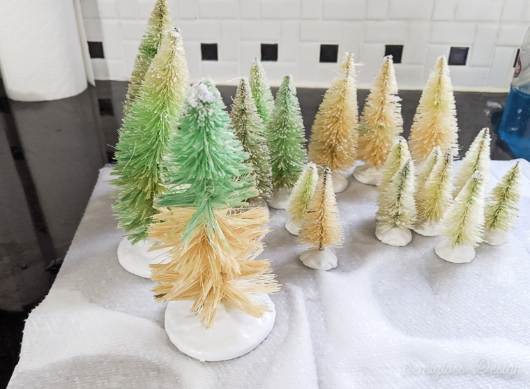 bleached bottle brush trees