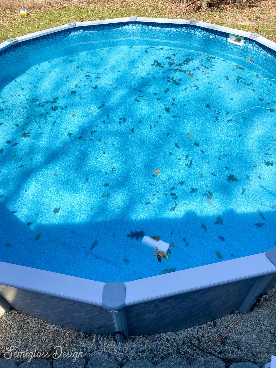 pool with a few leaves in it