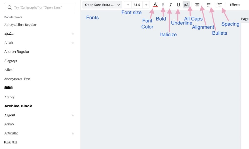 font options in canva