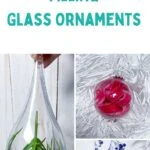 collage of glass ornaments filled with items