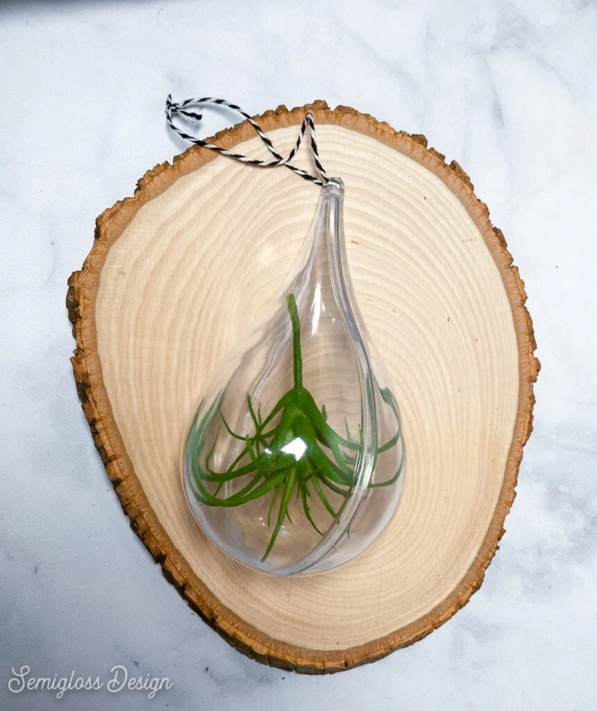 teardrop ornament filled with fake air plant on wood slab backdrop