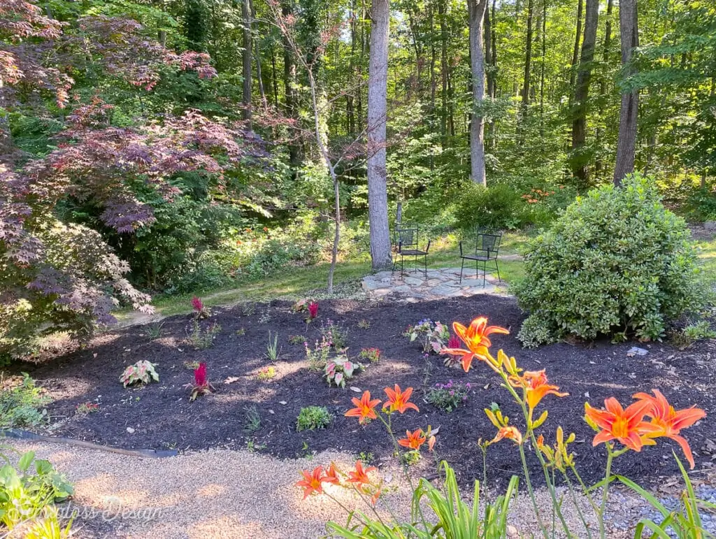 garden area in backyard
