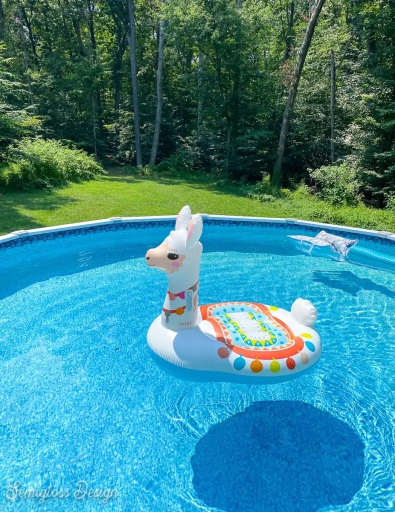 llama float in pool