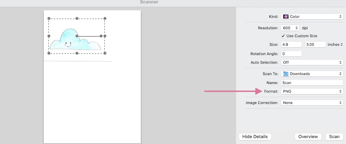 screenshot of settings for scanning art 