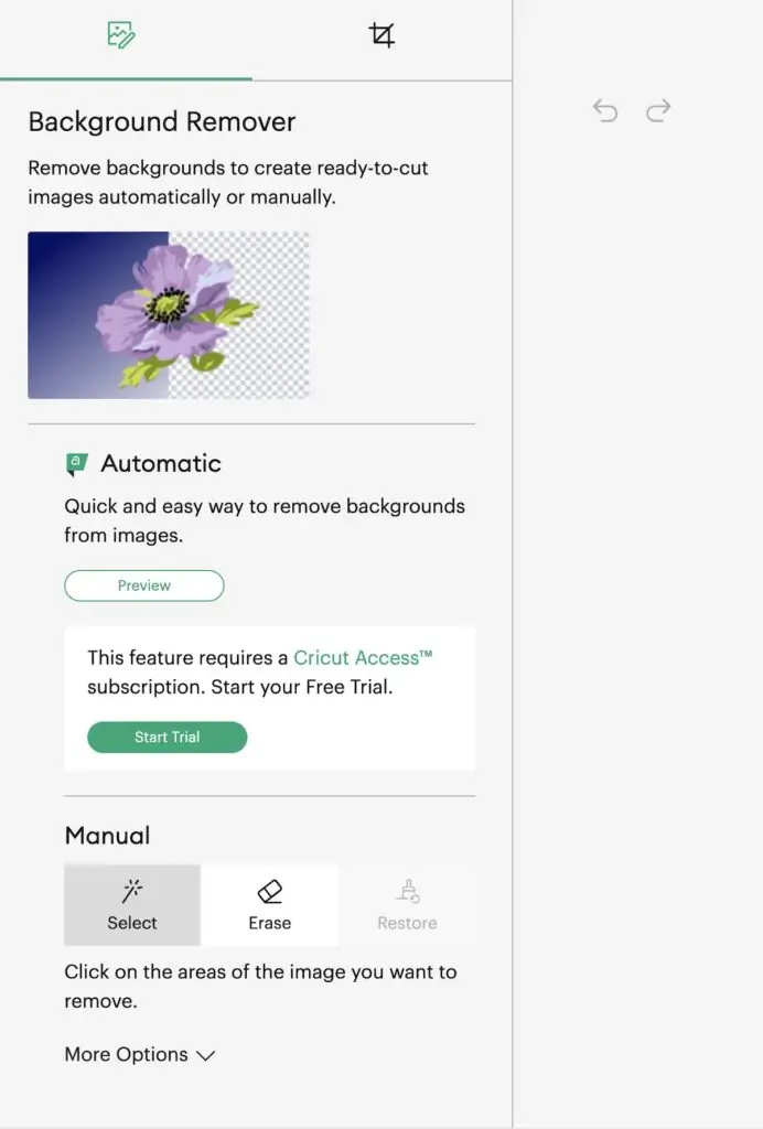 Cricut background remover