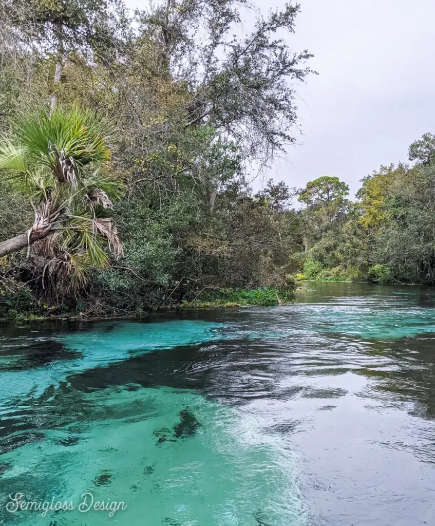 Weeki Wachee river