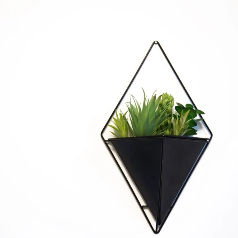 black planter on white wall