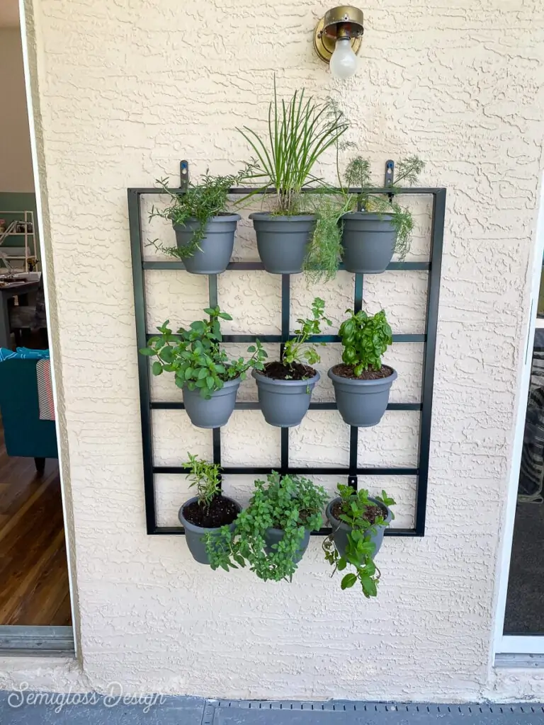 herb garden hanging on wall