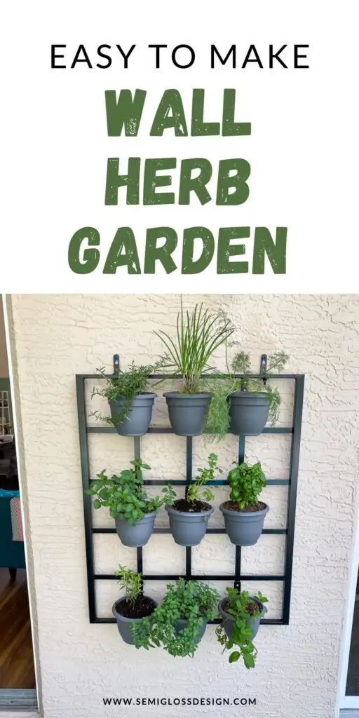 herb garden on wall