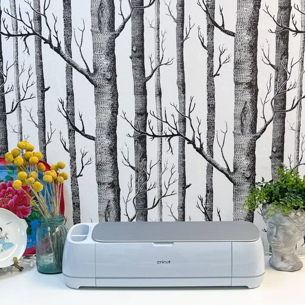 cricut maker on shelf with tree wallpaper
