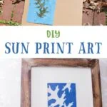 collage of leaves on blue paper and finished leaf sun print art in frame