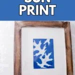 framed picture of leaf sun print art
