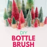 pink, teal and green bottle brush trees